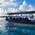 Dive Tender