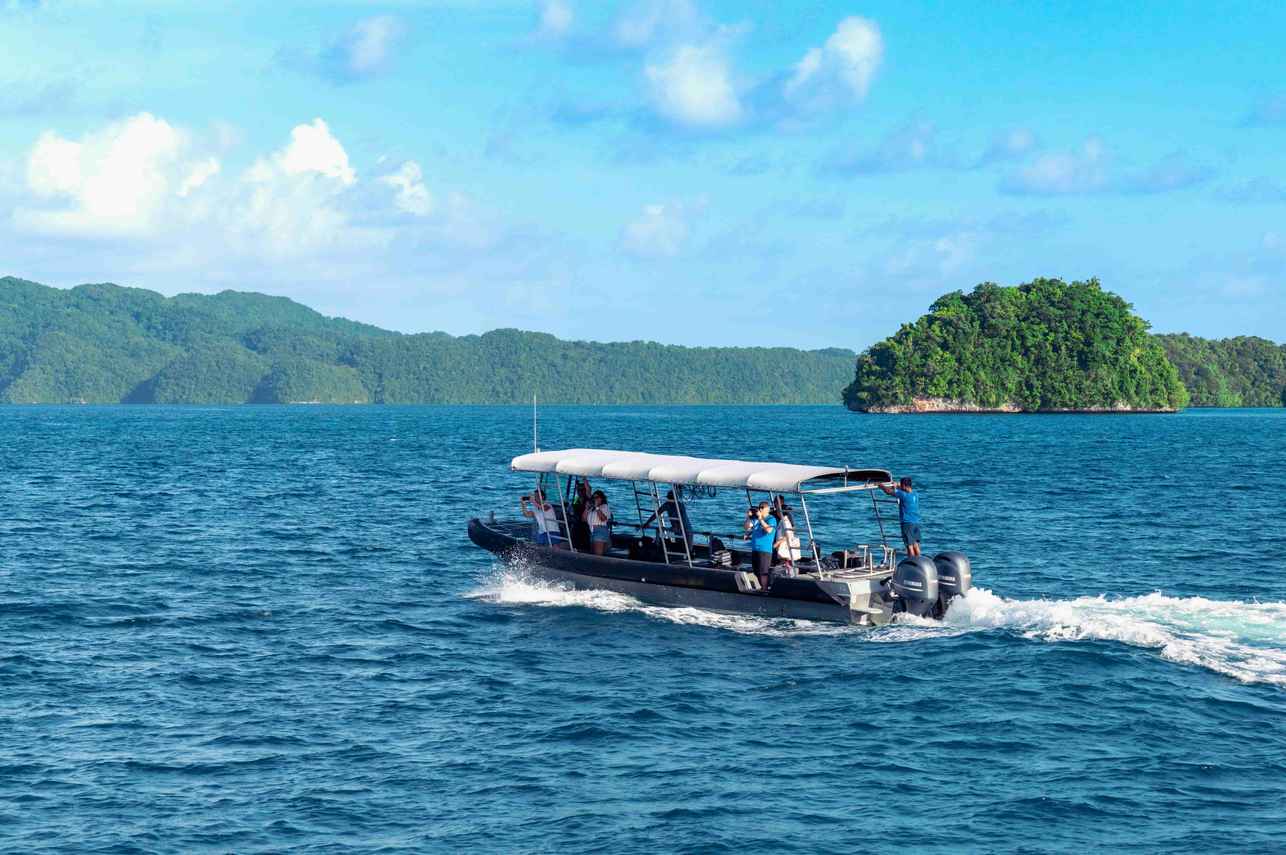 Dive Tender