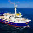 Cachalote Explorer