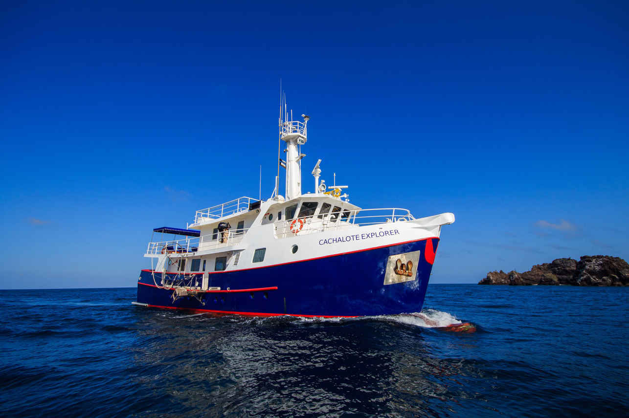 Cachalote Explorer