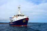 Cachalote Explorer