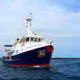 Cachalote Explorer