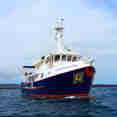 Cachalote Explorer