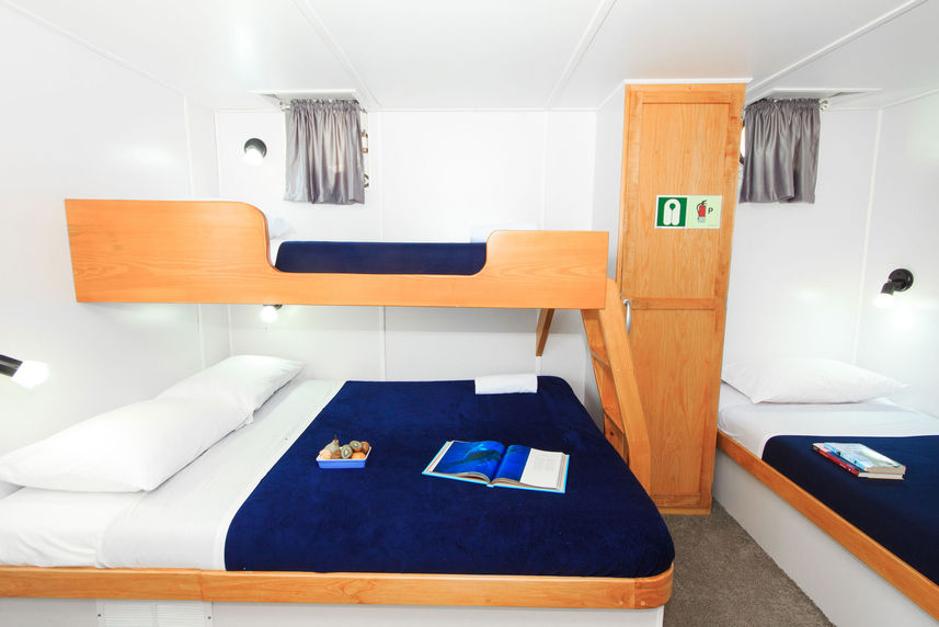 Upper Deck Cabin - Cachalote Explorer