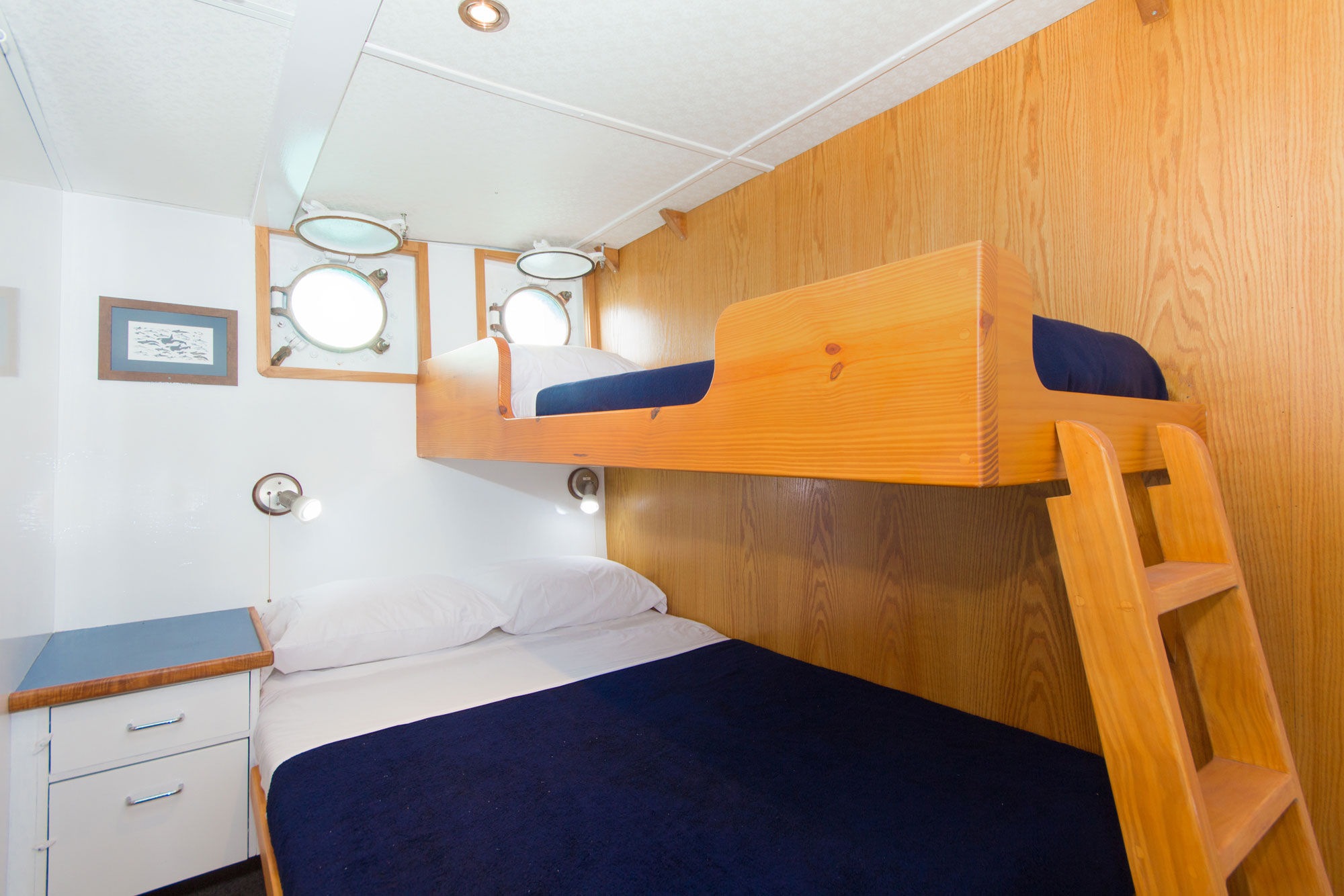 Lower Deck Cabin - Cachalote Explorer