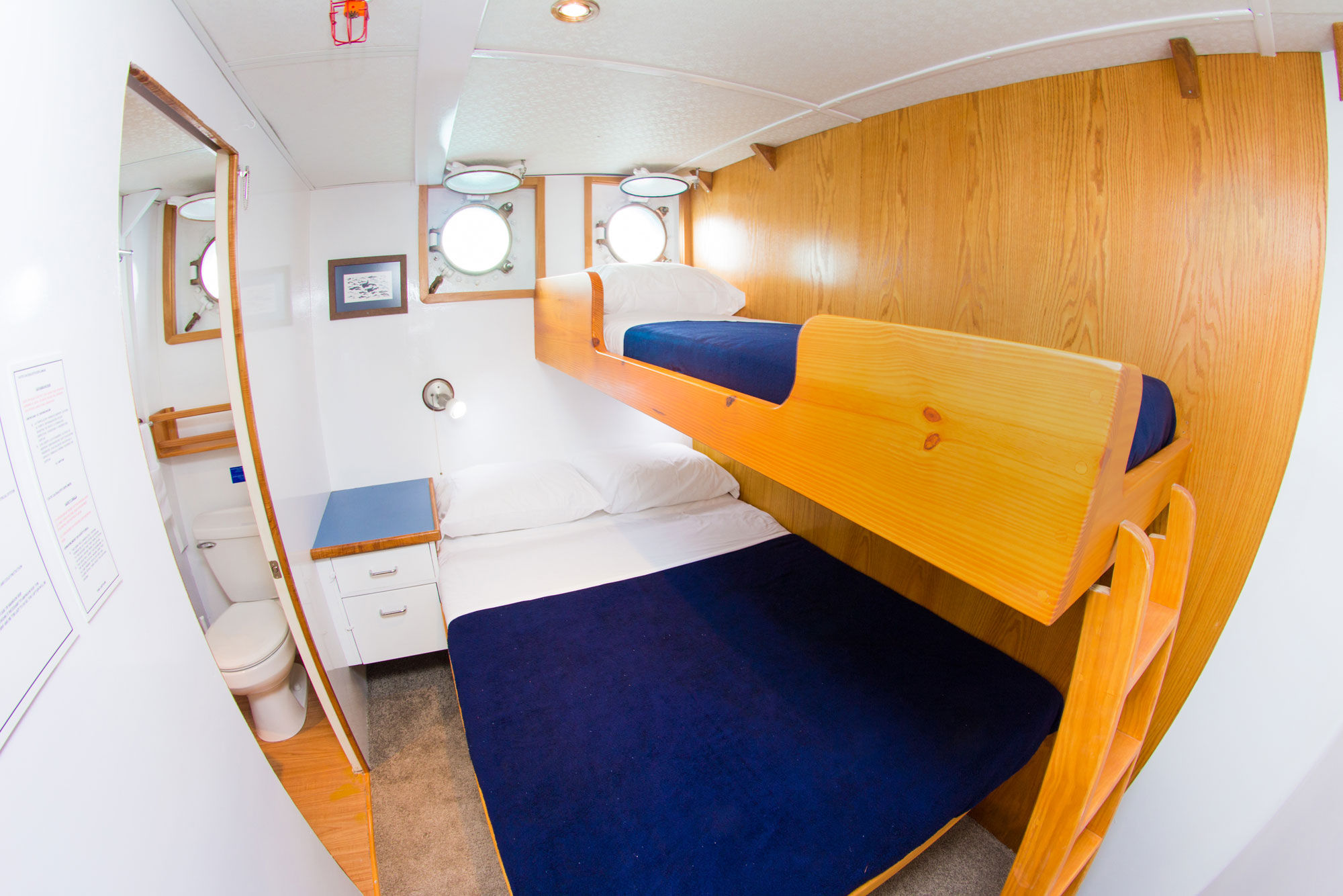 Lower Deck Cabin - Cachalote Explorer