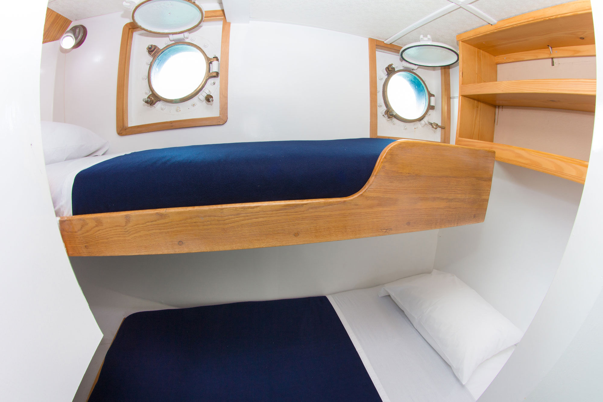 Lower Deck Cabin - Cachalote Explorer