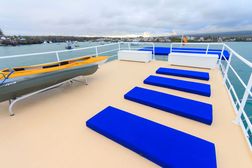 Sun Deck - Cachalote Explorer