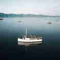 Splendour