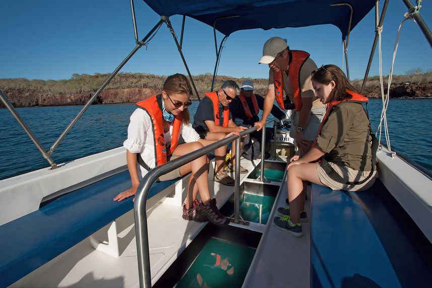 Glass bottom boat