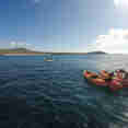 Kayaks