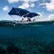 Glass bottom boat