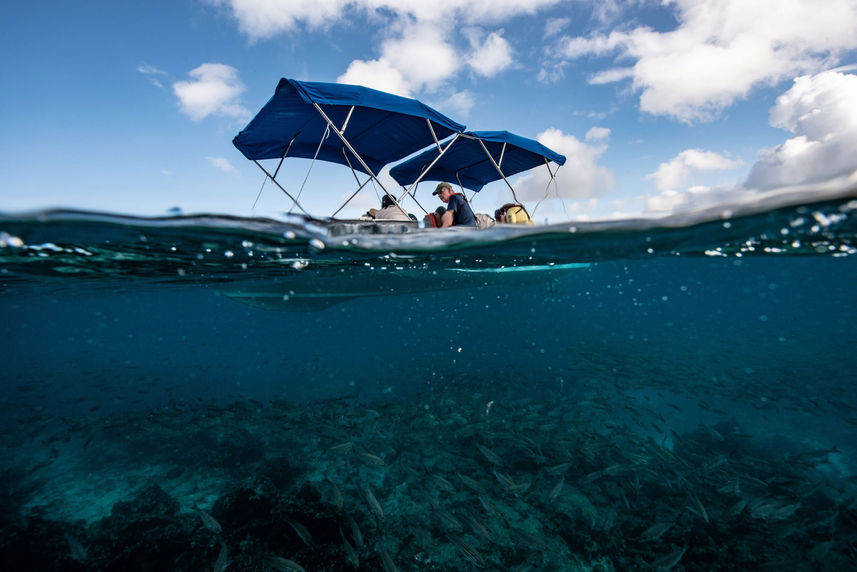 Glass bottom boat