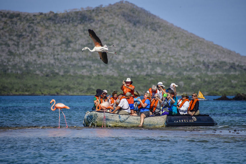 Passeio de Panga - Isabela II