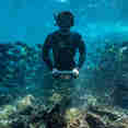 #snorkeling - Isabela II