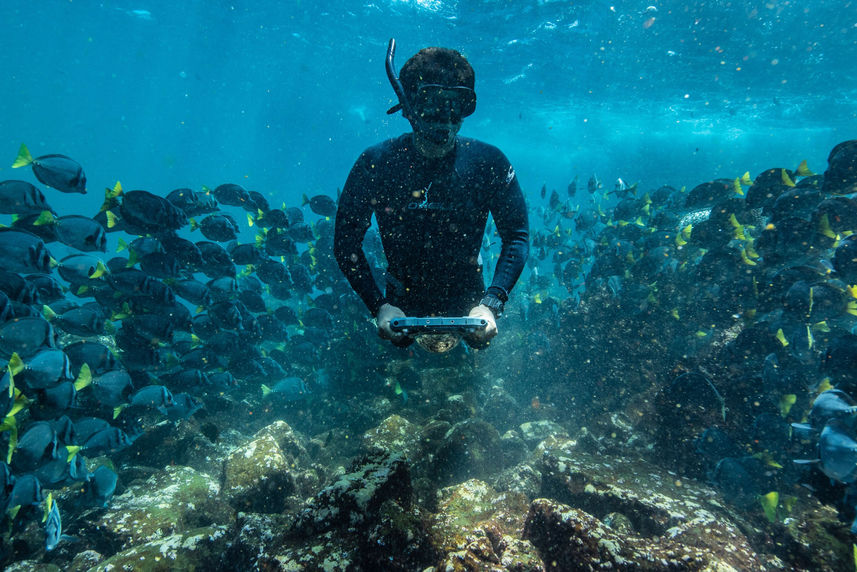 Snorkelling  - Isabela II