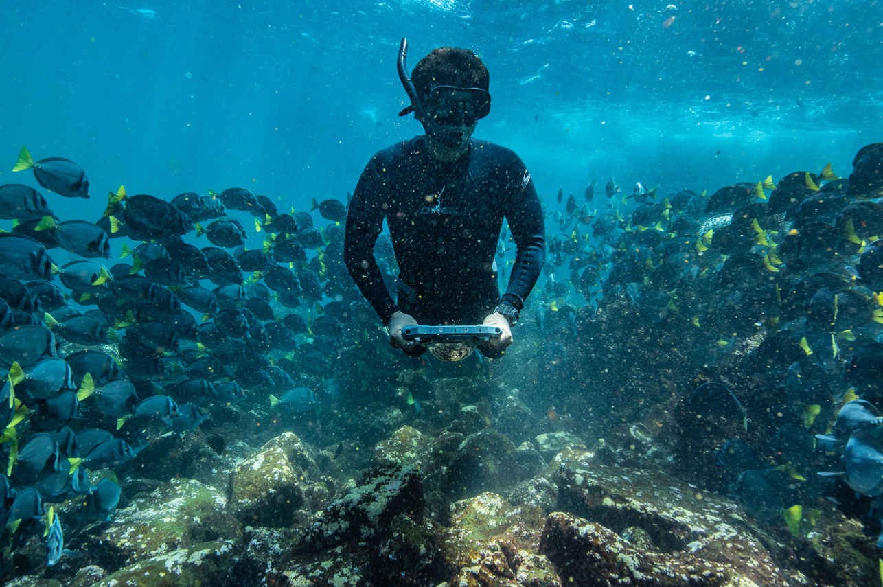 #snorkeling - Isabela II