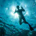 #snorkeling - Isabela II