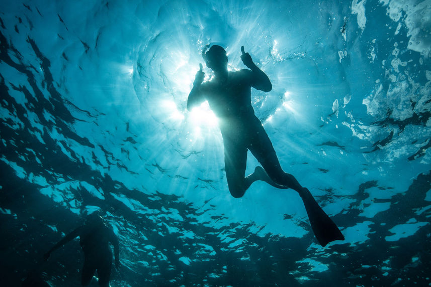 Snorkelling - Isabela II