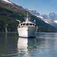 Sea Star Alaska