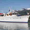Sea Star Alaska