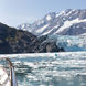 Sea Star Alaska