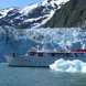 Sea Star Alaska