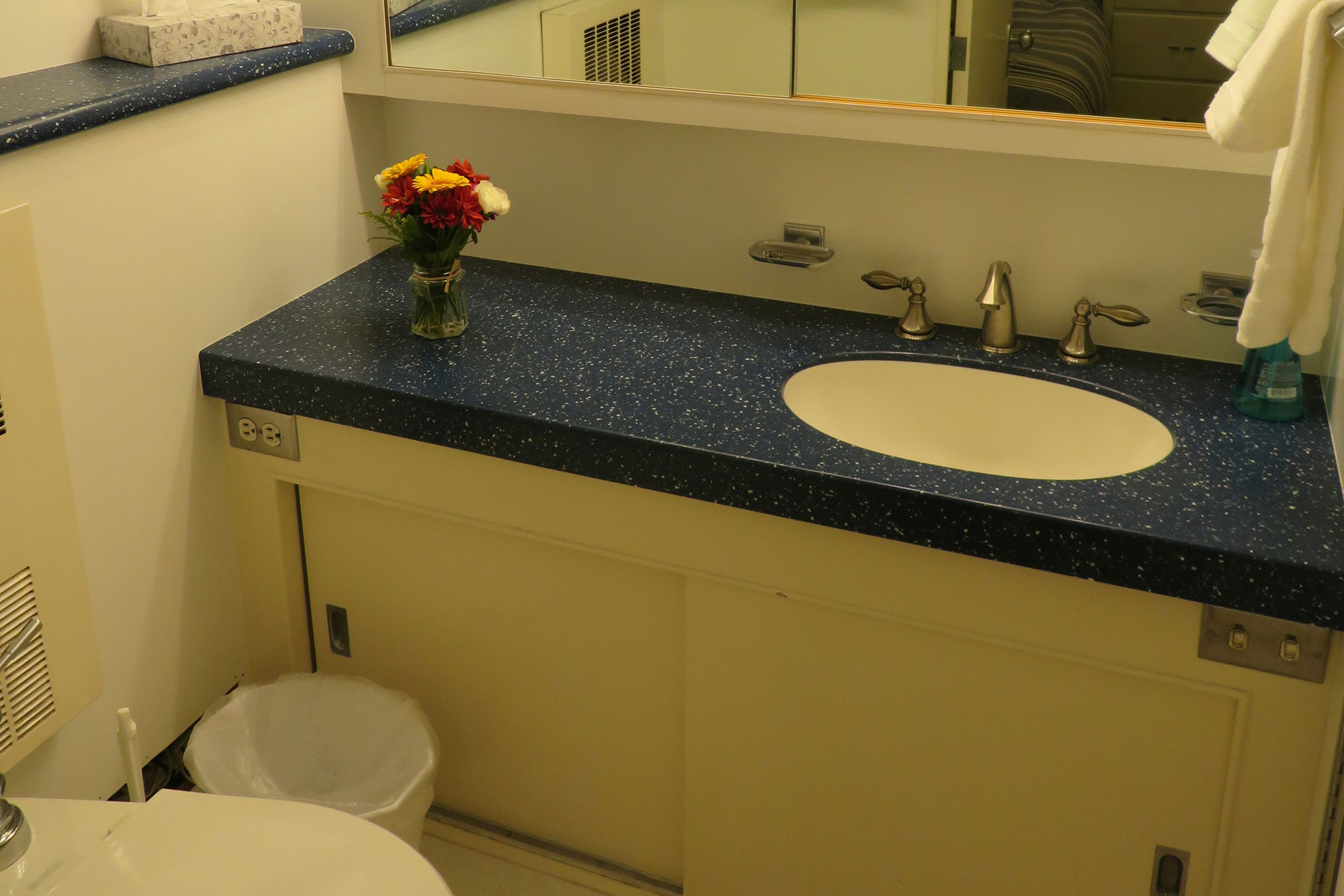 Bagno privato - Sea Star Alaska