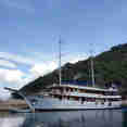 Paradis