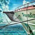 Paradis