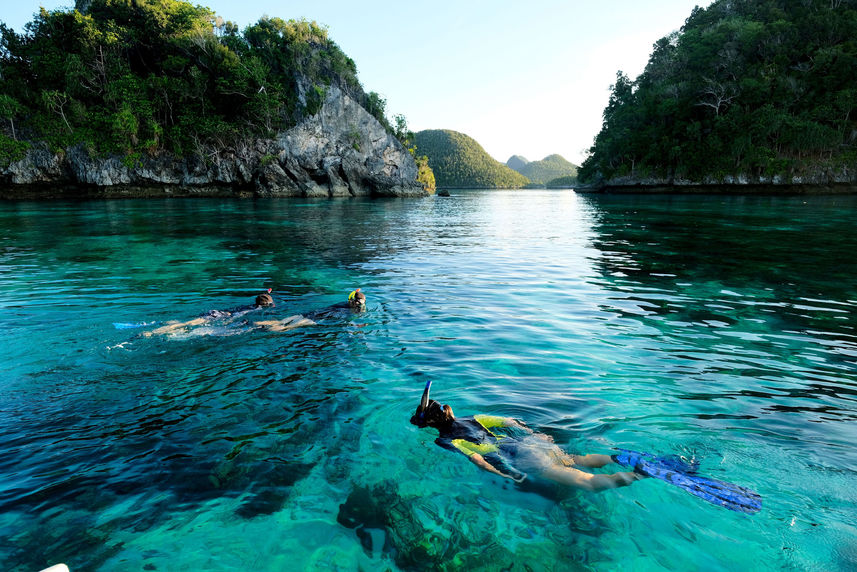 Snorkelling  - Jakare