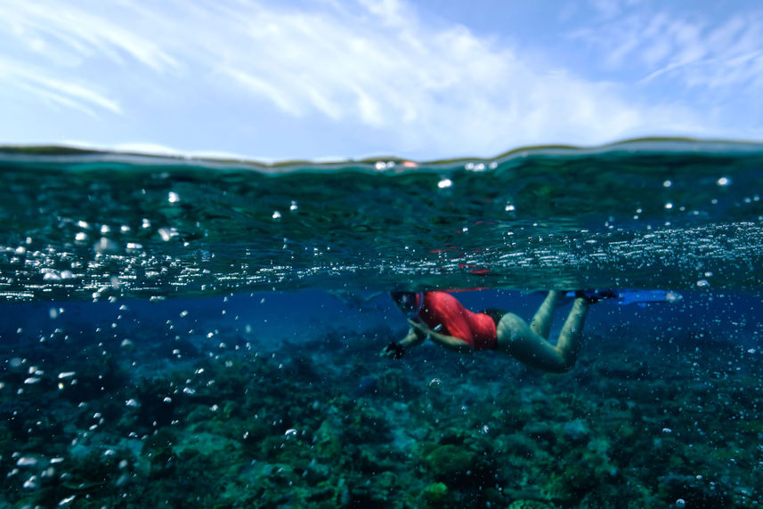 Snorkelling  - Jakare