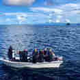 Bote inflable auxiliar - Jakare