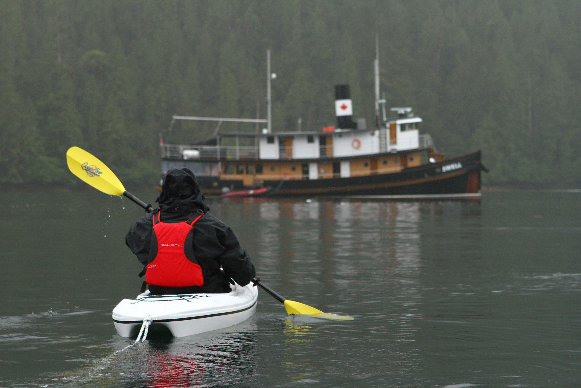 Kayaks an Board - Swell