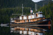 https://img.liveaboard.com/picture_library/boat/5930/2-mvswell-haidagwaii-jeffreynolds-photo.jpg?tr=w-106,h-70