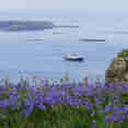 Lunga - St Hilda
