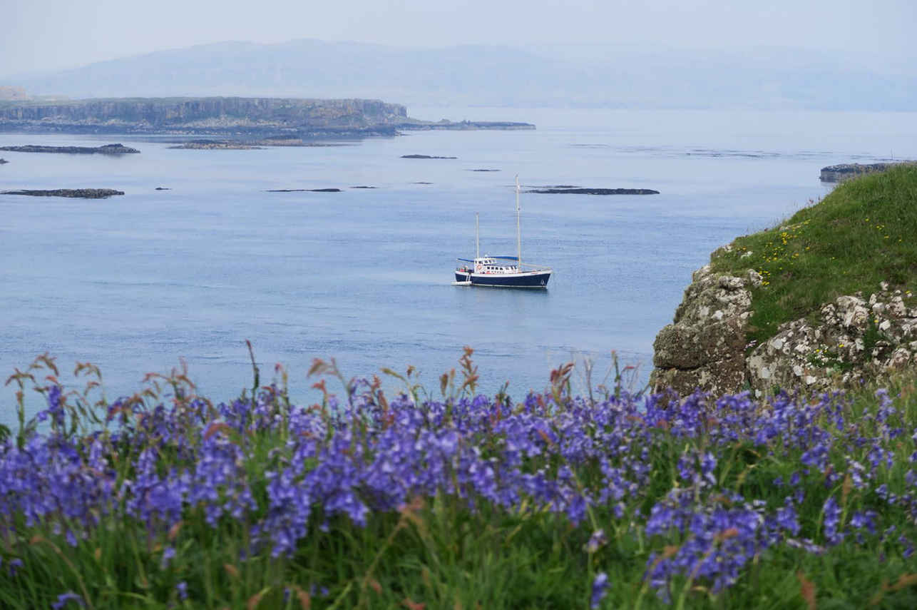 Lunga - St Hilda