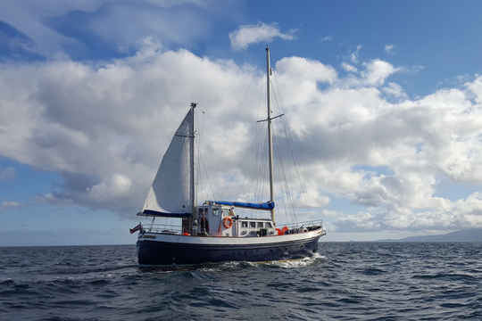 St Hilda