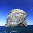 Stac Lee