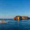 Fenides