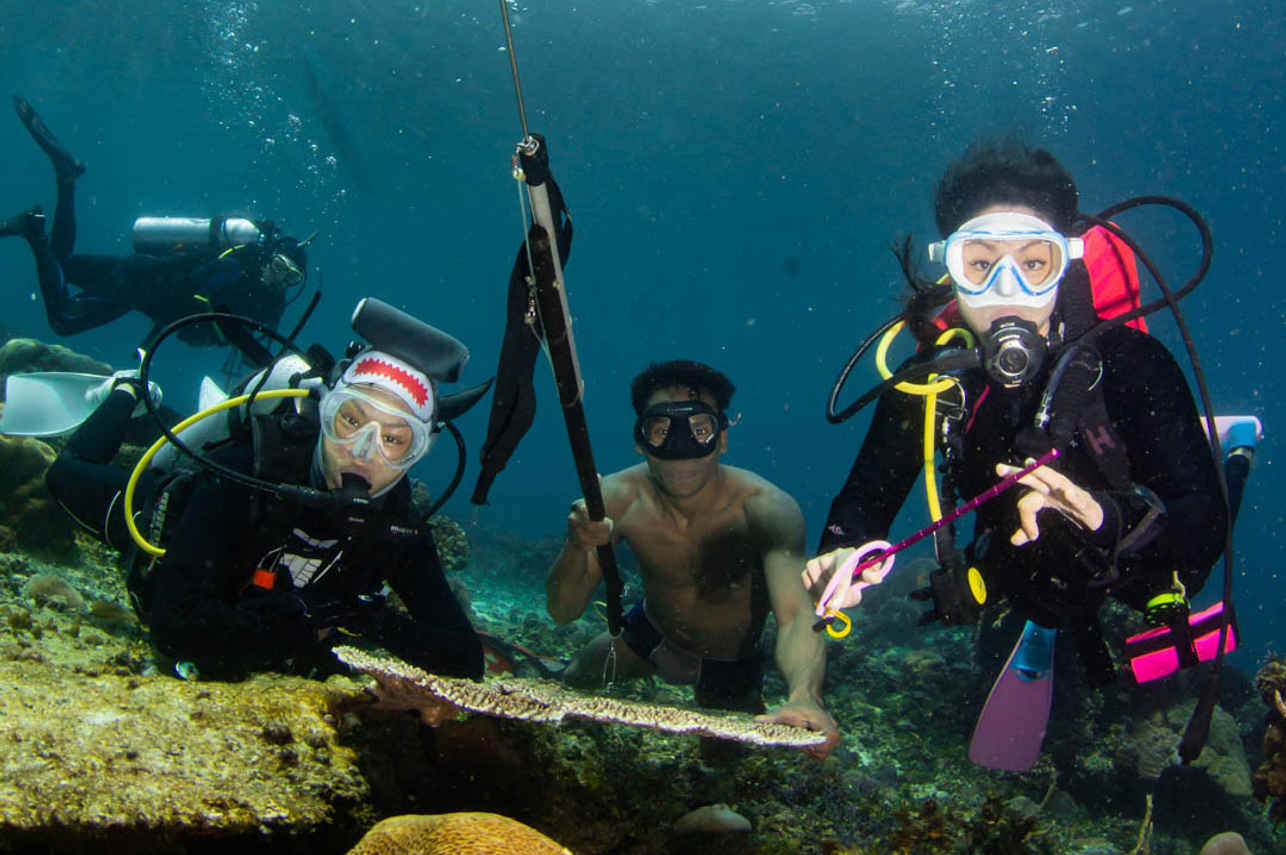 Diving