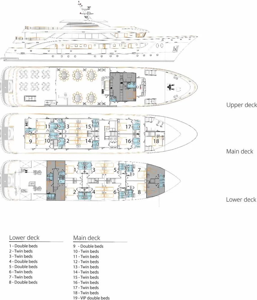 disposizione del ponte