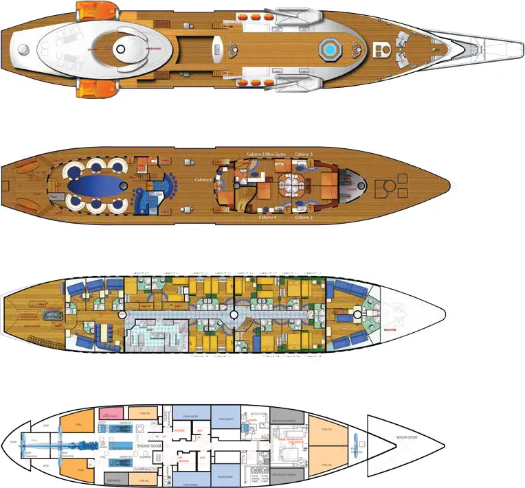 disposizione del ponte