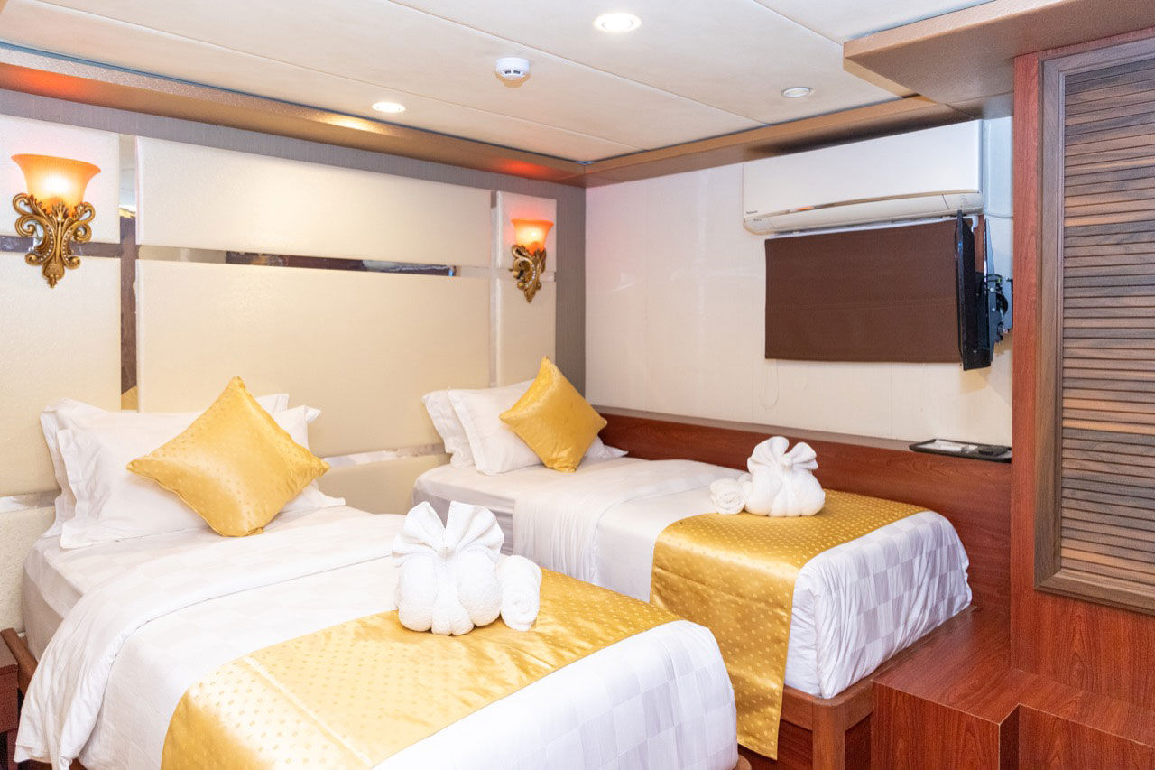 Standard Cabin - Princess Sara