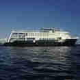 Jardines Avalon III