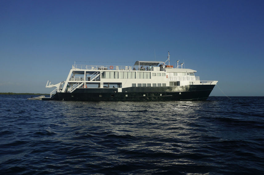 Jardines Avalon III