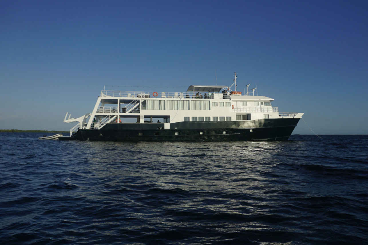 Jardines Avalon III