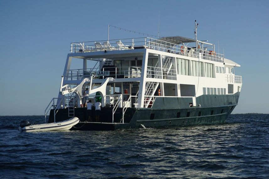 Jardines Avalon III