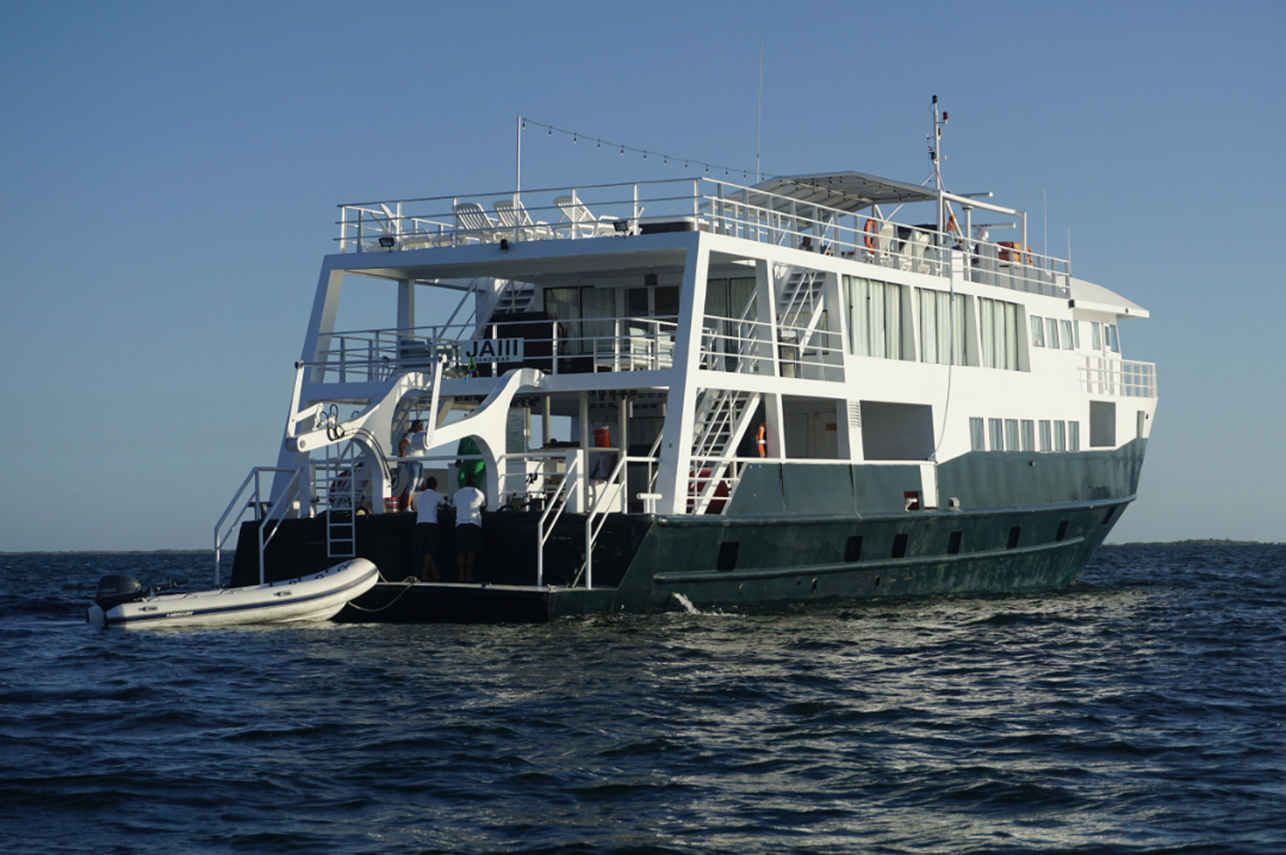 Jardines Avalon III