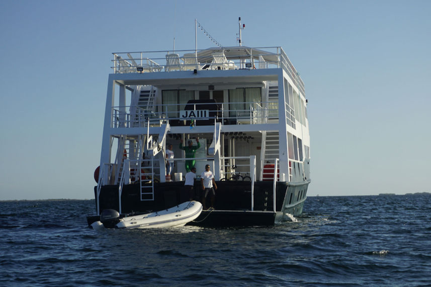 Jardines Avalon III